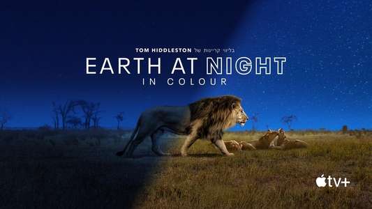 Earth At Night In Color - Backdrops