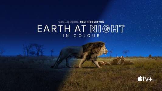 Earth At Night In Color - Backdrops