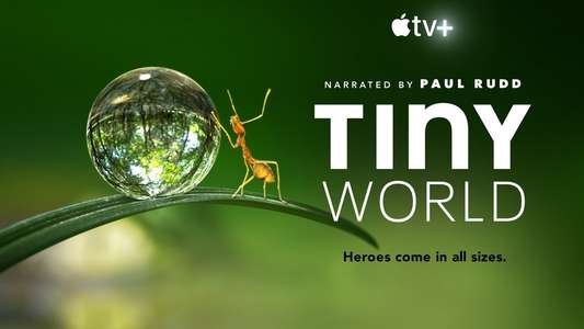 Tiny World - Backdrops