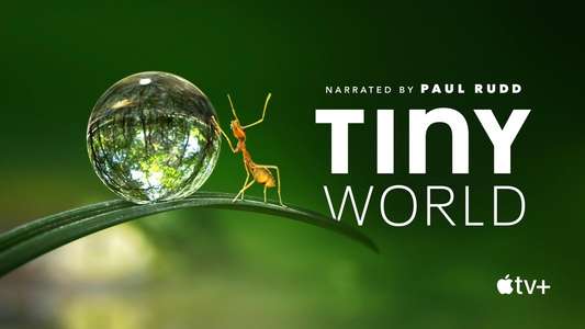 Tiny World - Backdrops