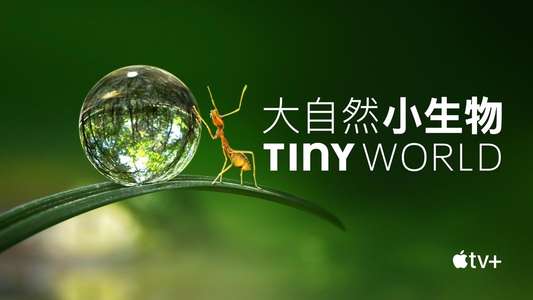 Tiny World - Backdrops