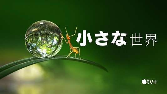 Tiny World - Backdrops