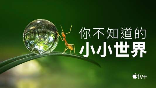 Tiny World - Backdrops