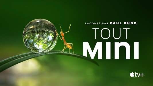 Tiny World - Backdrops