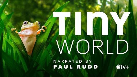 Tiny World - Backdrops