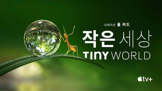 Tiny World - Backdrops