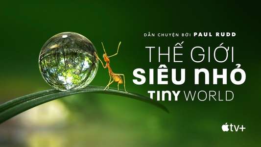 Tiny World - Backdrops