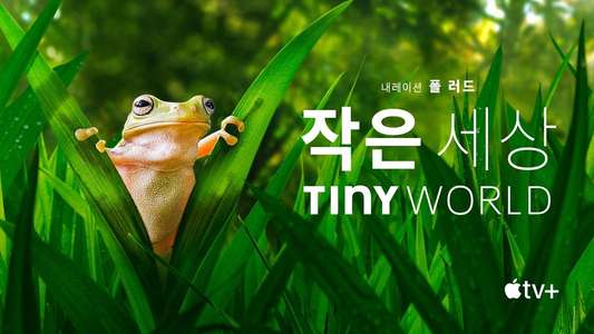 Tiny World - Backdrops