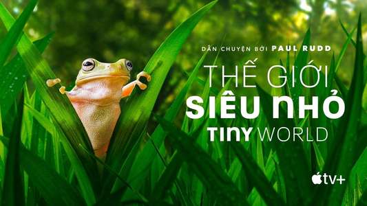 Tiny World - Backdrops