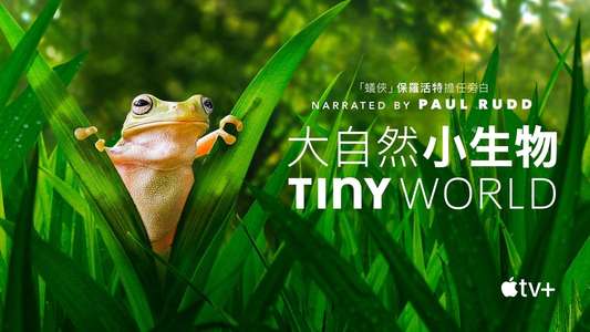 Tiny World - Backdrops