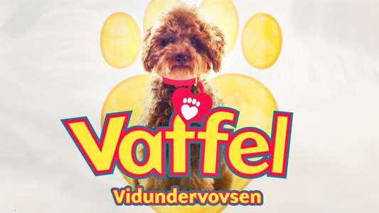 Waffle the Wonder Dog - Backdrops