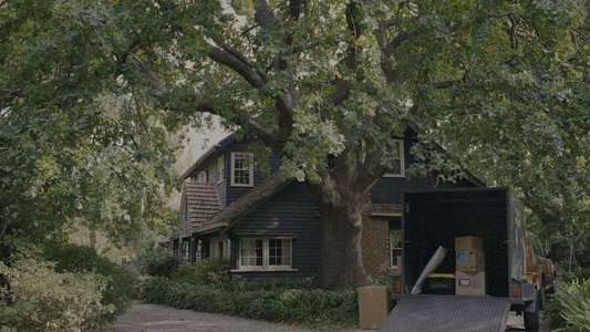 Together - Backdrops