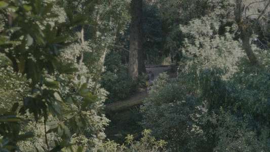 Together - Backdrops