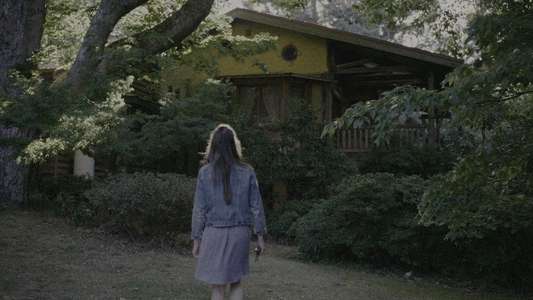 Together - Backdrops