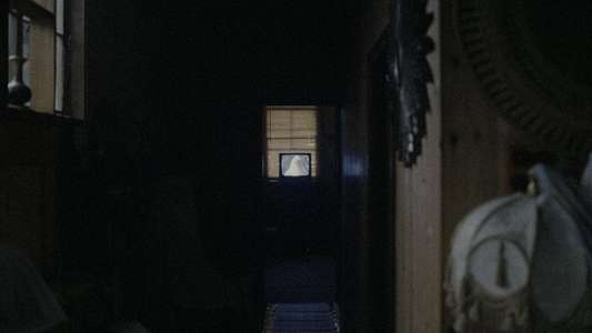 Together - Backdrops