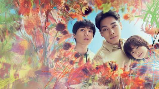 Light of My Lion - Backdrops