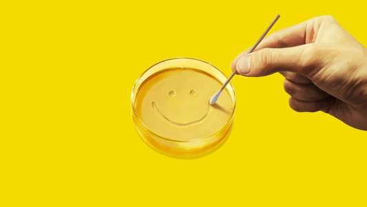 Pluribus - Backdrops