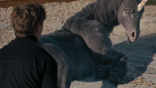 Death of a Unicorn - Backdrops