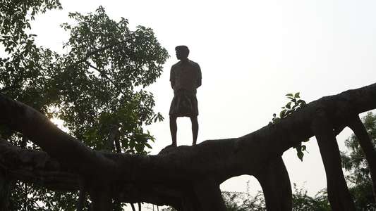 Bison Kaalamaadan - Backdrops