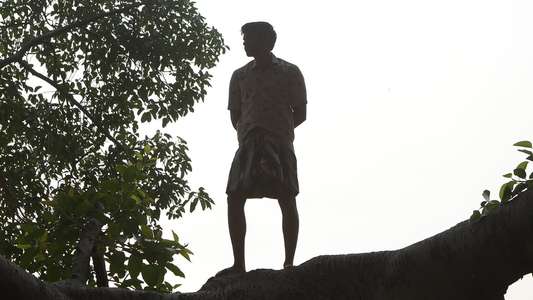 Bison Kaalamaadan - Backdrops