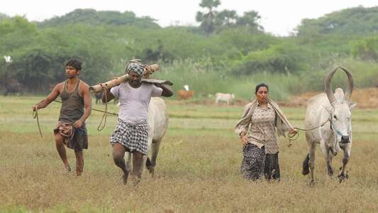 Bison Kaalamaadan - Backdrops