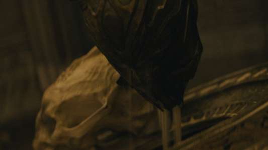 Predator: Badlands - Backdrops