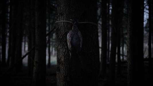 Bambi: The Reckoning - Backdrops