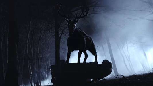 Bambi: The Reckoning - Backdrops