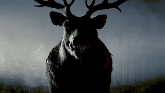 Bambi: The Reckoning - Backdrops