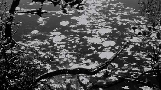 Lake of the Dead - Backdrops