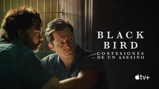 Black Bird - Backdrops