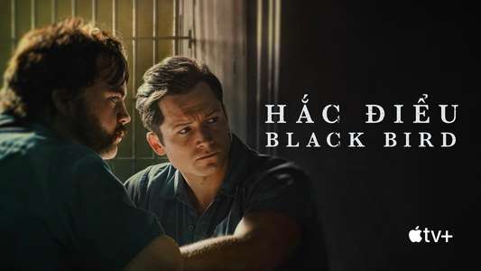 Black Bird - Backdrops