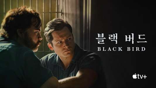 Black Bird - Backdrops