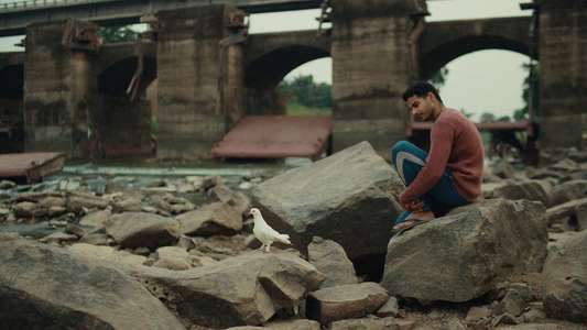 Homebound - Backdrops