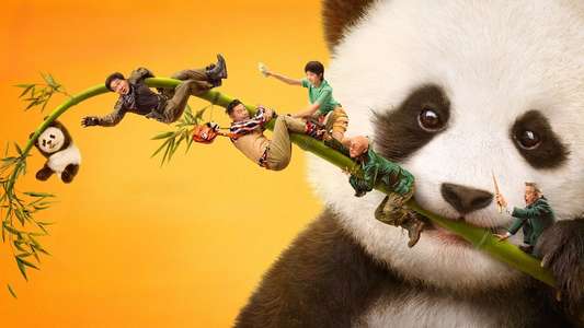 Panda Plan - Backdrops