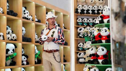 Panda Plan - Backdrops