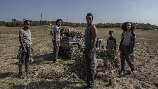 40 Acres - Backdrops