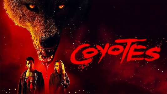 Coyotes - Backdrops