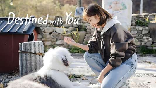Destined with You - Backdrops