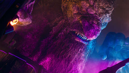 Troll 2 - Backdrops