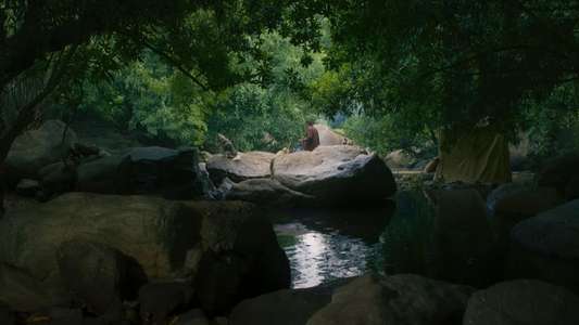 Ekō - Backdrops