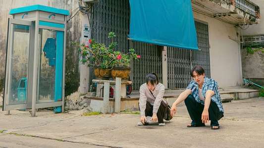 Typhoon Family - Backdrops