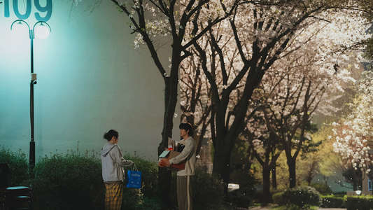 Way Back Love - Backdrops