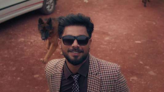 The Pet Detective - Backdrops