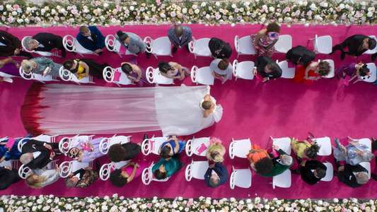 Another Simple Favor - Backdrops