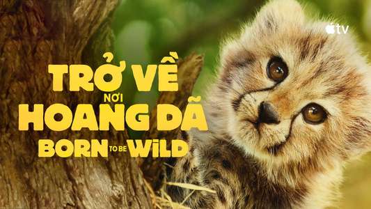 Born to Be Wild - Backdrops