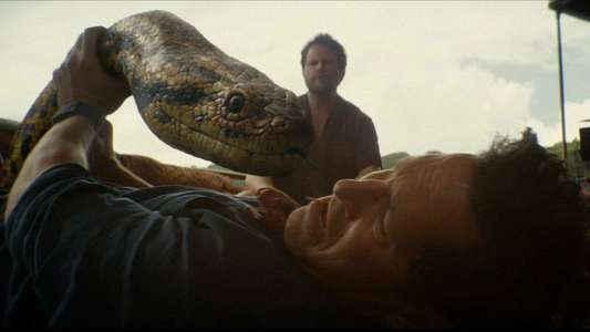 Anaconda - Backdrops