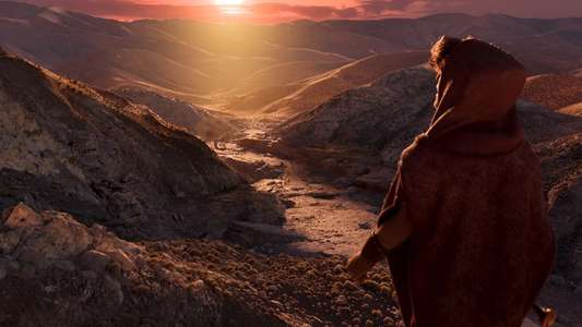 David - Backdrops