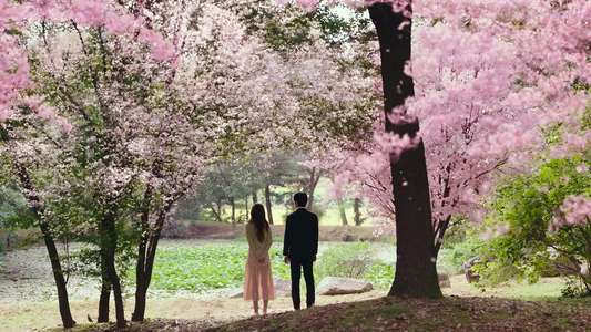 See You in My 19th Life - Backdrops