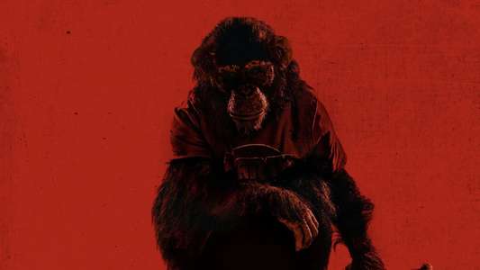 Primate - Backdrops